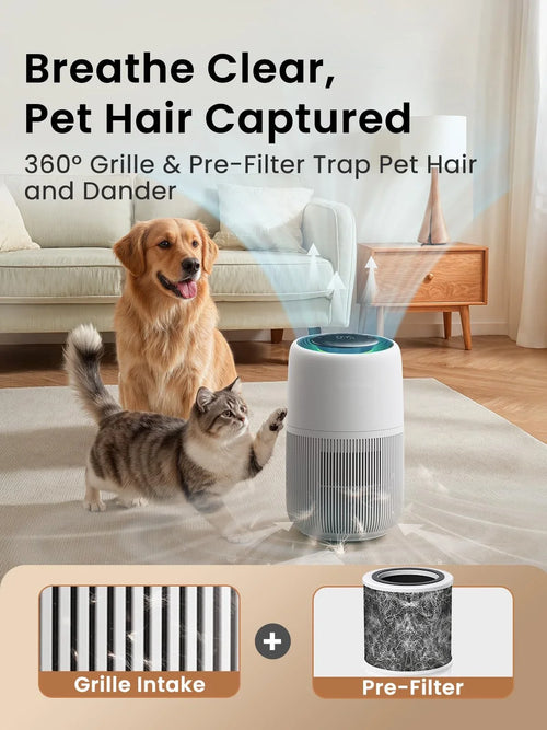 FreshAir Home Purifier