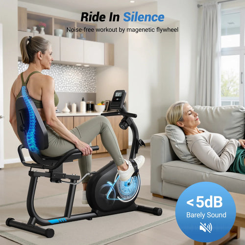 Stay Fit Recumbent Bike